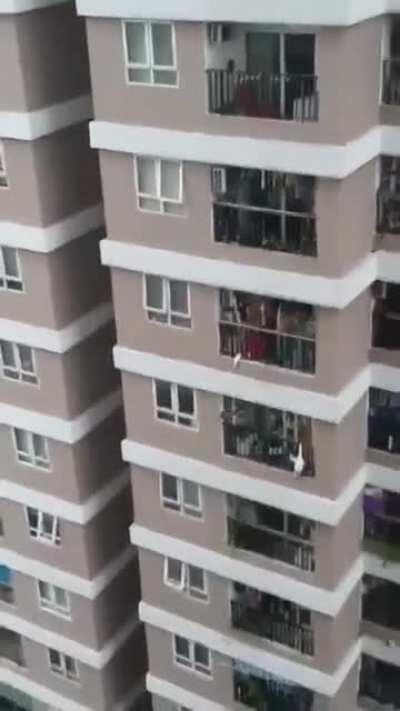 2 year old girl survives a 12 stories high fall