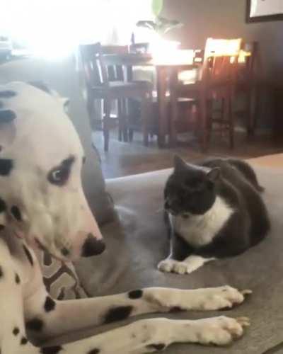 Чо, сидишь тут, да?