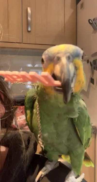 halloween costume ✅