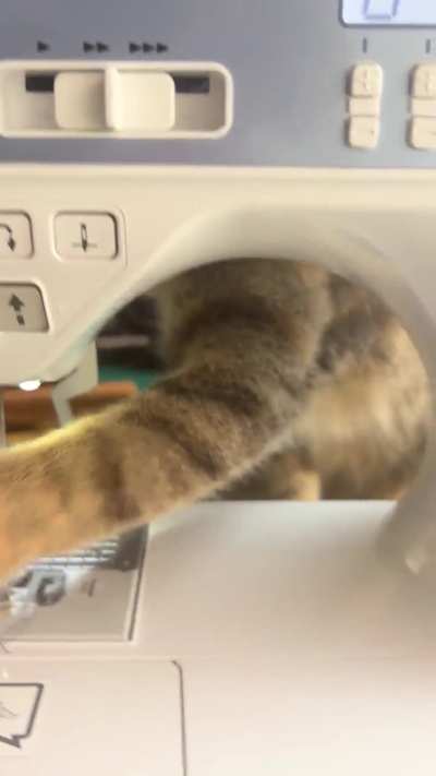 Sewing machine slaps
