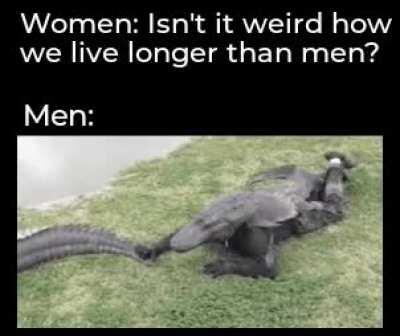 Don't worry he is my friend