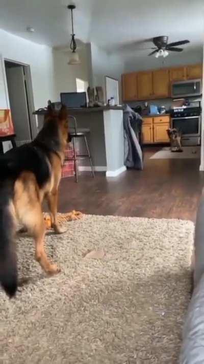 Welcome to the wild west