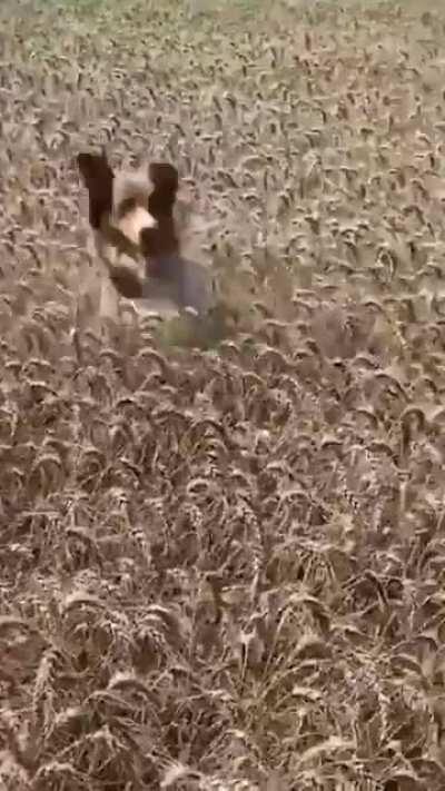 Gotta peak up, see where I’m at