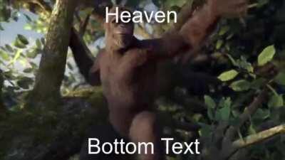 Mona dead, now this is poggers