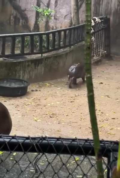 rain or shine, become ungovernable!