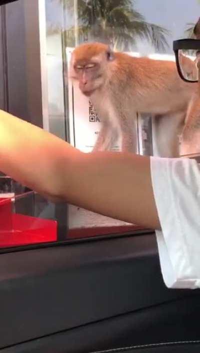 Just another normal day at KFC Teluk Cempedak