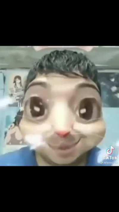 Conejito busca a conejita