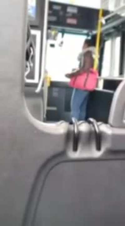 Bus driver refuses to stop bus for non-paying Karen, who expects the same service as a PAYING customer