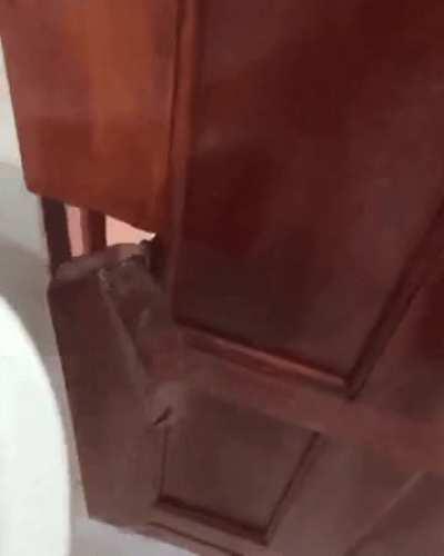 i hear y'all like fancy doors