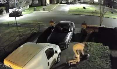 Thief caught red handed & Owner didn’t hold back🫡👏👏