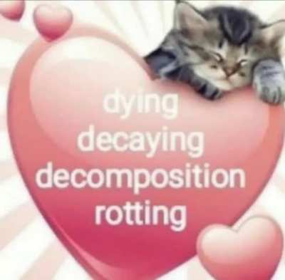 Any idea what song this is?