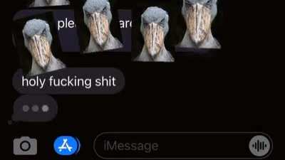 Drawing someone's avatar 