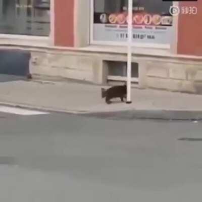 Hitrat doesn't care how big the target is