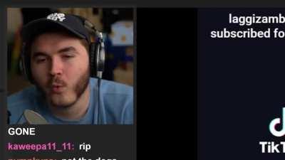 What's with these Weezer memes