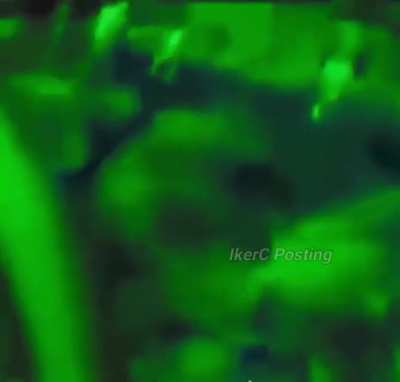 some anime woman got fucked up by the car