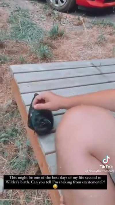 Crow Mastery: Attained?!