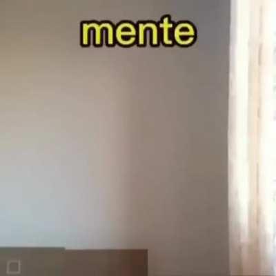 ShitpostBR - Video #3419