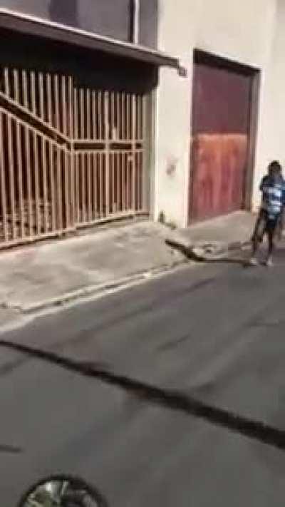 BOM DIA PEDRINHO!!!!!