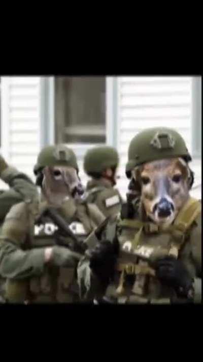 President Puddin'head -vs- the BATFE