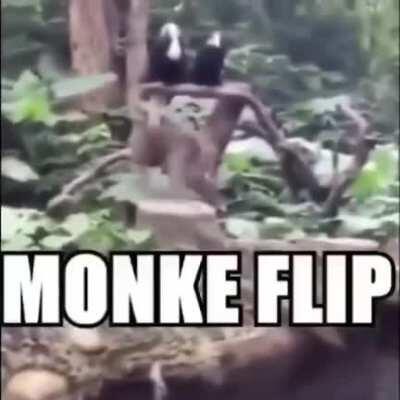 monke flip