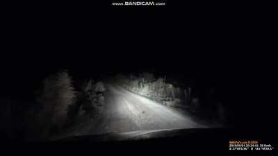 Beware of the kangaroo.