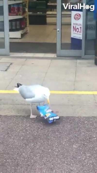 Everything is possible