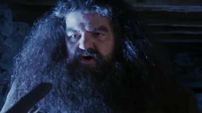 Harry Potter pero mejor