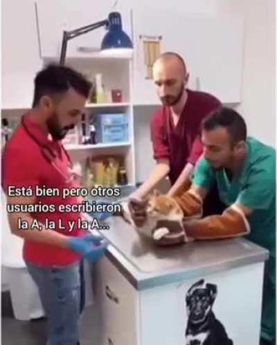 Literal en cada thread sobre crimen