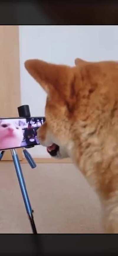 HELD ALL YEAR!! WE BACK BABY!! 🚀🚀🚀