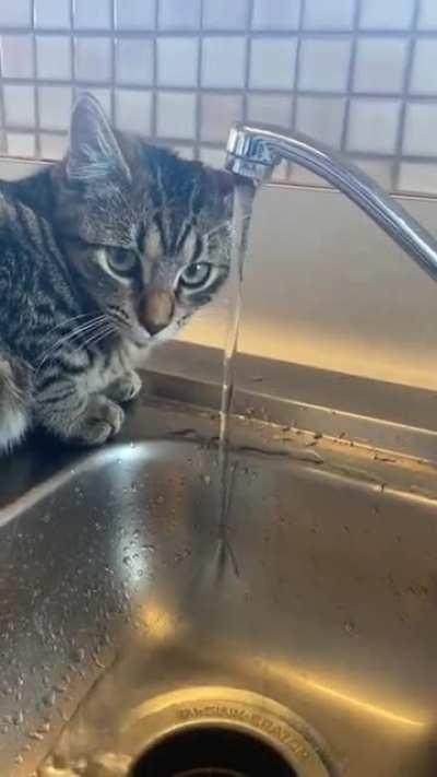 SiCk FuCk StAnDs By AnD fiLmS aS pOoR cAt GeTs WaTeRboaRdED!
