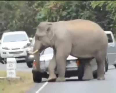 Let Me Get Comfortable