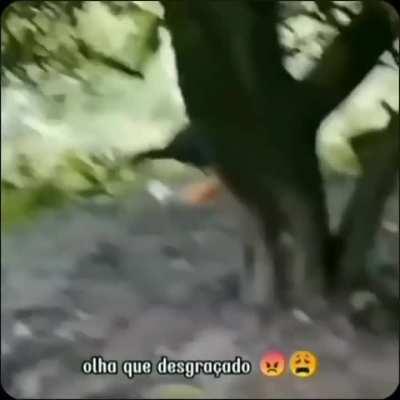 Roubou meu pão 🤬