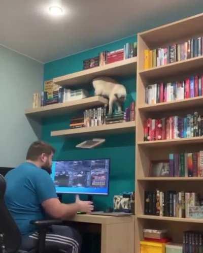 Cat-a-log Automatically gives you Documentation and Books