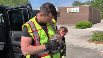 His name is Wilmington. I nearly ran over him with my Jeep when he was a kitten. I took him home after a dramatic rescue by firemen. Here is the moment I was introduced to this good boy.