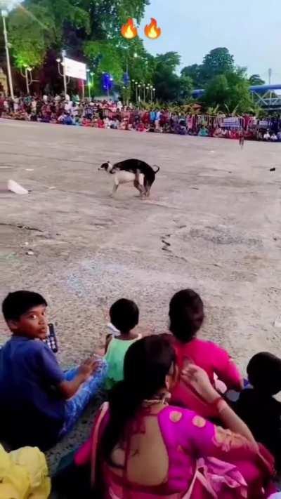 This son of bitch pulling more bitches than I ever will