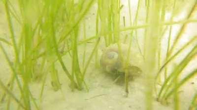 Rockport Beach, Rockport TX