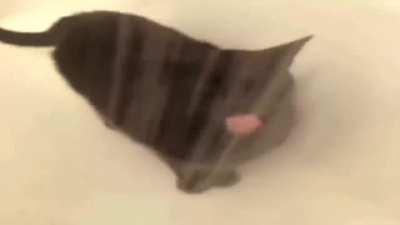 Compilation of wunks