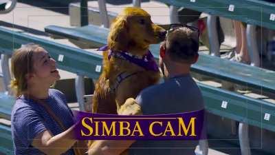 [Highlight] [Highlight] Rockies unveil the “Simba Cam” on Bark in the Park day