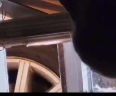 DFV (The roaring kitty) just tweeted. Stop hiding and fight in the open!