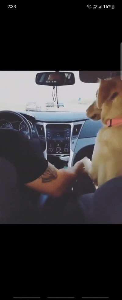 Hold my hand please ♥️