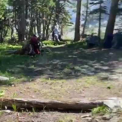 Had two bull moose sprint through our campsite this weekend in Indian Peaks Wilderness. They were chasing a cow and her calf (barely visible at the beginning of the video) and ran less than 10 feet past me! Terrifying!