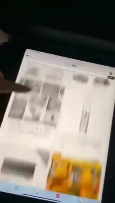 典中典之独彩者