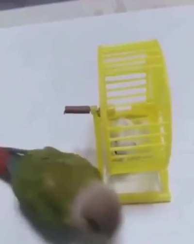 Когда мать попросила поиграть с младшим братом на площадке