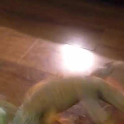 The new guy looks sus to me...