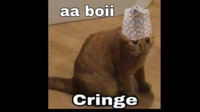 No one , meme on discord