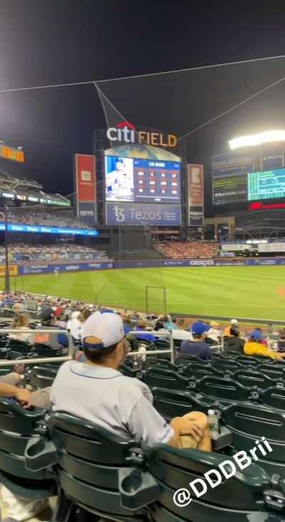 Took them out at the Mets game, will call it titty field now😜⚾️ [GIF]