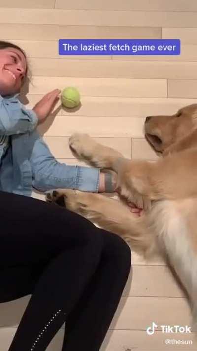 Minimum effort...maximum results