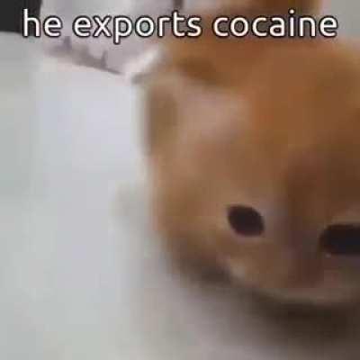 does moldy add funni?