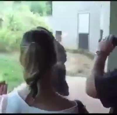 Coisas que o mamaco faz e o largato nunca conseguira