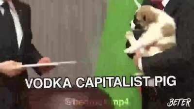 O porque eu amo a Russia.